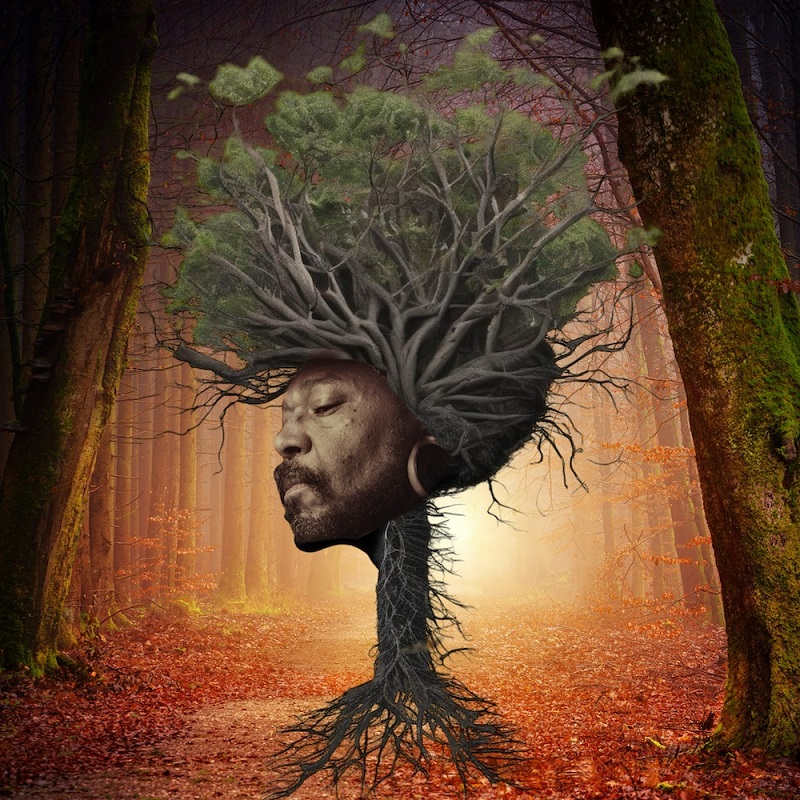 Osunlade/INNER GARDEN LP