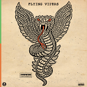 Flying Vipers/GREEN & COPPER (COLOR) LP