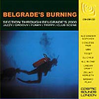 Various/BELGRADE'S BURNING  LP