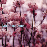 Arkestra One/ARKESTRA ONE CD