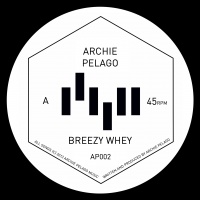 Archie Pelago/BREEZY WHEY 12"