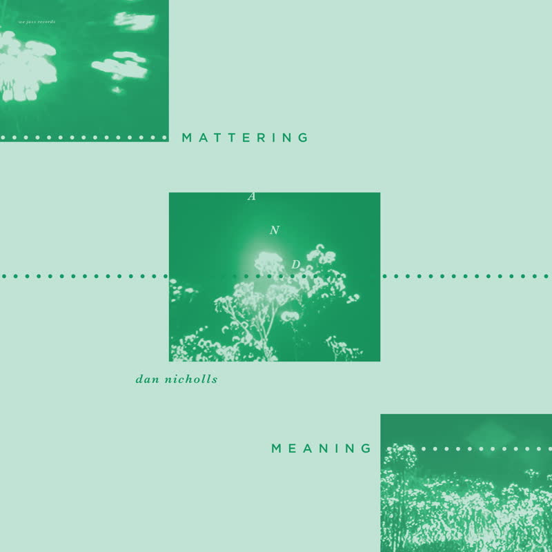 Dan Nicholls/MATTERING AND MEANING LP